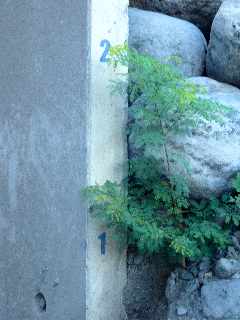 Pont sur la Rivire St-Etienne - Passage sous radier