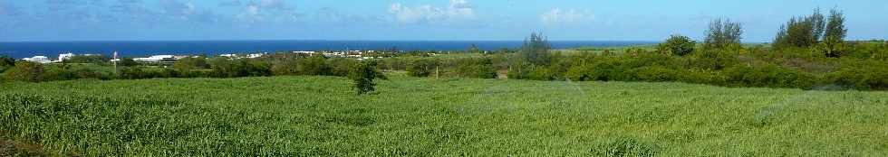 St-Pierre - ZAC Canabady - Vue vers l'alle Jacquot