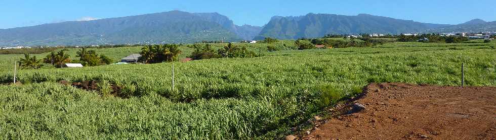 St-Pierre - ZAC Canabady - Vue vers les hauts