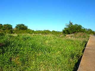 Chemin de Bassin Plat - Rivire d'Abord