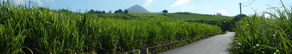 Piton Mont Vert - Chemin Grand-Pre