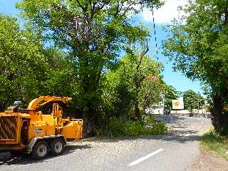 Elagage sur la route de Bois d'Olives