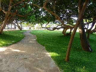 Boulevard Hubert-Delisle - Jardin de la plage