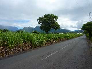 Chemin Maurice Thorez vers Dassy