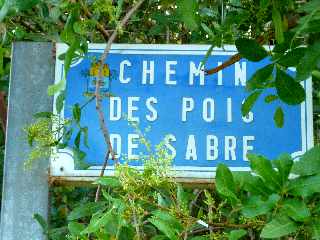 Chemin des Pois de sabre