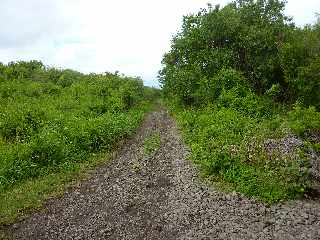 Chemin Canal Dassy vers la Ligne des Bambous