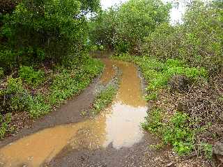 Chemin Canal Dassy vers la Ligne des Bambous