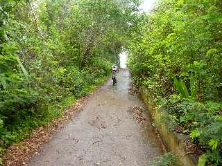Chemin Canal Dassy vers la Ligne des Bambous