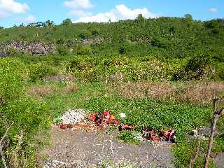 Dépôt sauvage d'oignons pourris au Ouaki - mars 2012