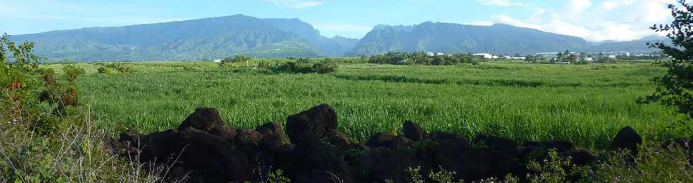 ZAC Canabady - Vers les Hauts