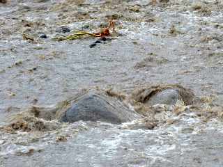 Crue du Bras de Cilaos le 28 mars 2012 -