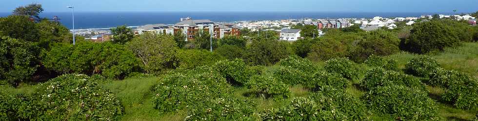 St-Pierre - Terre Sainte - ZAC Ocan Indien