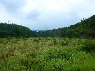 Bras de la Plaine - Bois d'Olives - Entre-Deux