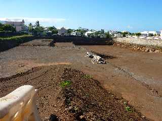 St-Pierre - Rue de la Cayenne - Les Jardins d'Ugo