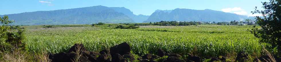 Vue vers les Hauts depuis la ZAC Canabady