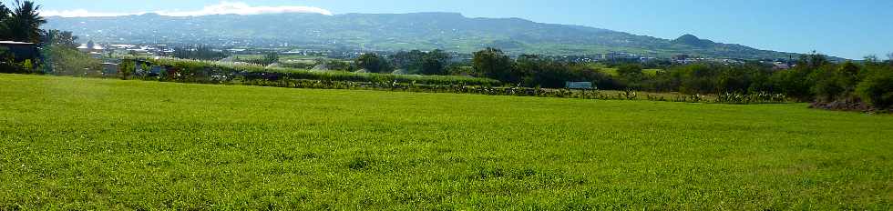 St-Pierre - Herbages Alle Jacquot