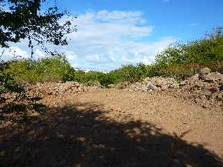 Juillet 2012 - Parc urbain de Ravine Blanche