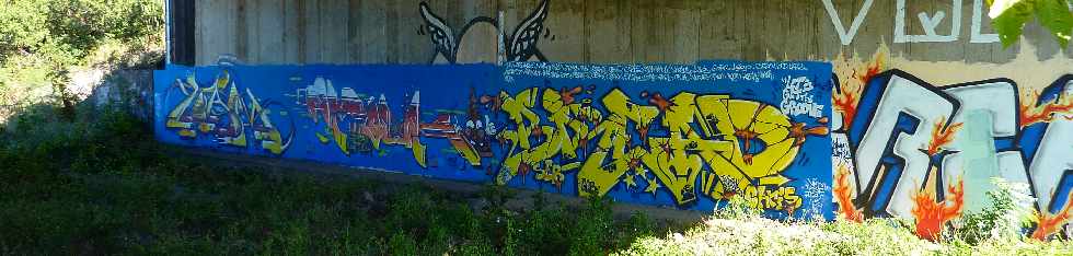 Fresque sous le pont - Ravine des Cabris