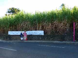 Banderole Miss Runion - Ligne Paradis