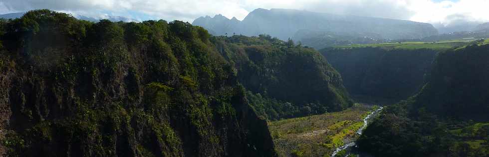 Ravine des Cabris -  Bras de la Plaine