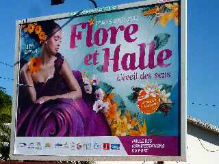 Août 2012 - Flore et Halle