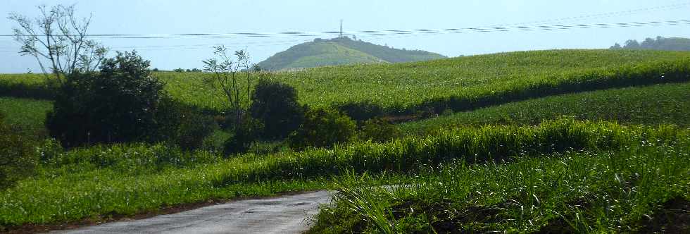 Chemin de Bassin Plat - Piton de Bassin Martin