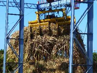 Balance des Casernes - Chargement d'un cachalot