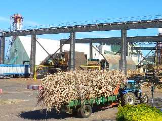 St-Louis - Usine du Gol - La Boutik - Aot 2012