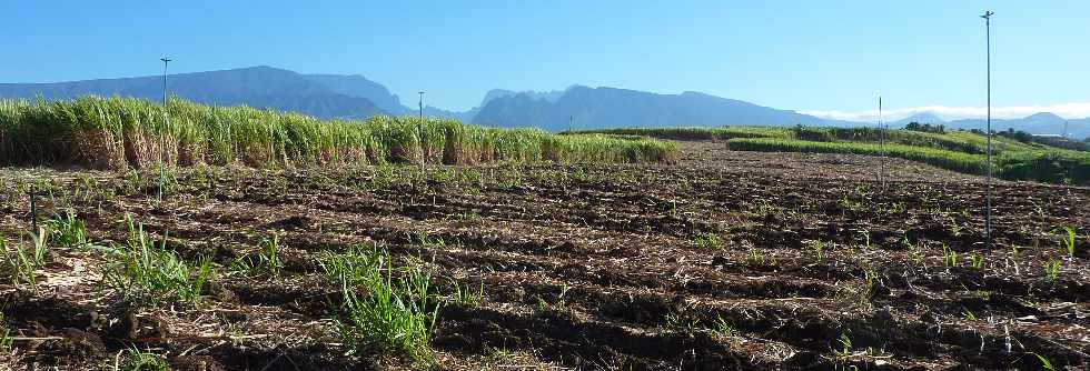 St-Pierre - Chemin Jean Cadet - Irrigation enterre