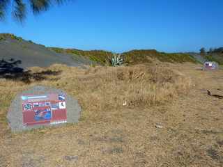 Pointe du Diable - Dunes - Projet GolMatisse