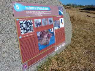 Pointe du Diable - Dunes - Projet GolMatisse