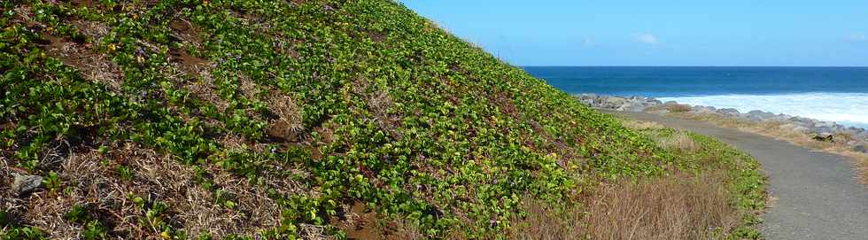 Cap Rond - St-Pierre - Patates  durand