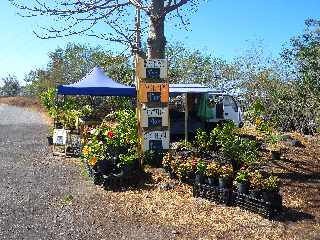 St-Louis - Barzardier de fruits, lgumes et fleurs