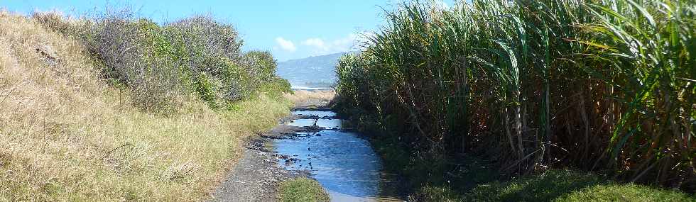 Pierrefonds - Irrigation près de l'aéroport