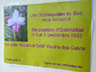 Expo d'orchidées - Salle Moulin à Café - Ravine des Cabris - sept 2012