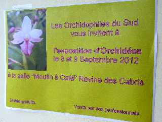 Expo d'orchides - Salle Moulin  Caf - Ravine des Cabris - sept 2012