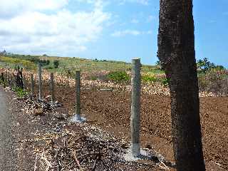 Chemin de Bassin Plat - Cannes brles