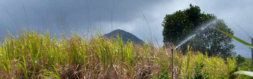 Grands-Bois - Piton Mont Vert