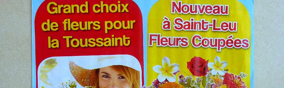 Pub Gamm Vert - Fleurs Toussaint 2012