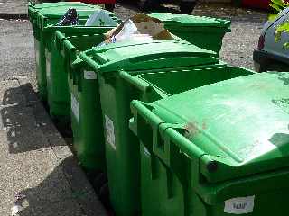 Ravine des Cabris - Poubelles vertes toujours sorties