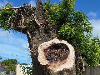 CD26 - Route de Bois d'Olives