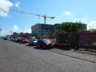 St-Pierre - Quartier des Casernes - L'Arbre du voyageur