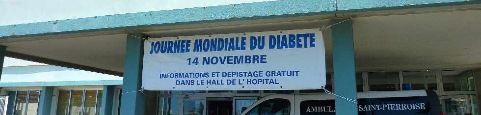 St-Pierre - Terre Sainte - CHU - Journée mondiale du diabète 2012