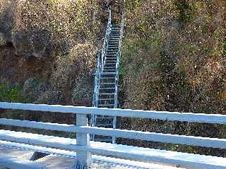 18 novembre 2012 - Route des Tamarins libre - Sentier