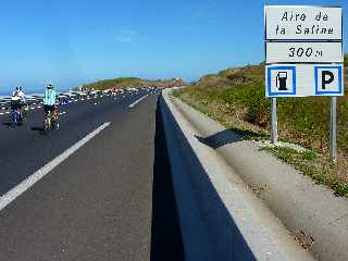 18 novembre 2012 - Route des Tamarins libre - Aire de La Saline