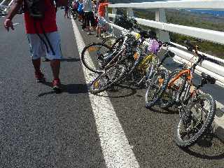 Route des Tamarins à vélo - 2012 -  Vélos alignés