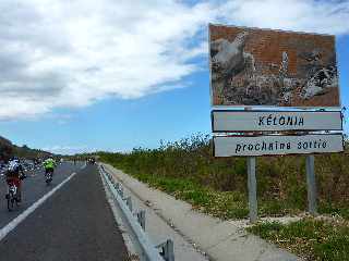 18 novembre 2012 - Route des Tamarins libre - Sortie Kélonia