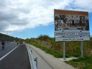 18 novembre 2012 - Route des Tamarins libre - Sortie Mascarin