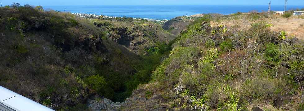 18 novembre 2012 - Route des Tamarins libre - Ravine St-Gilles