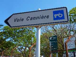 St-Pierre - Centre de réception des cannes des Casernes - Novembre 2012 - Voie cannière